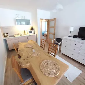 Centrum Samodzielne Mieszkanie Apartament Zakopane
